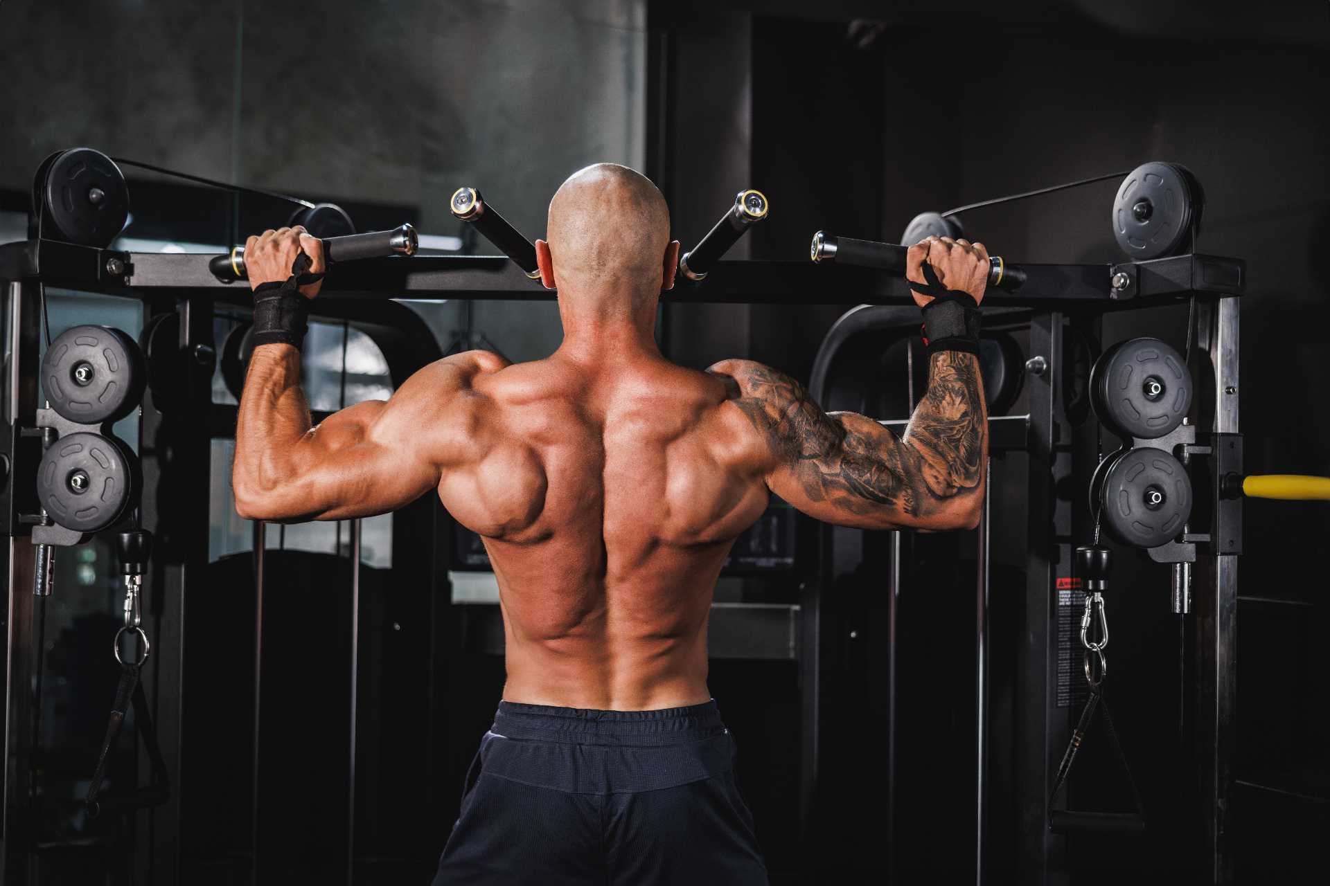 Push / Pull / Legs: 6-Week Volume Block