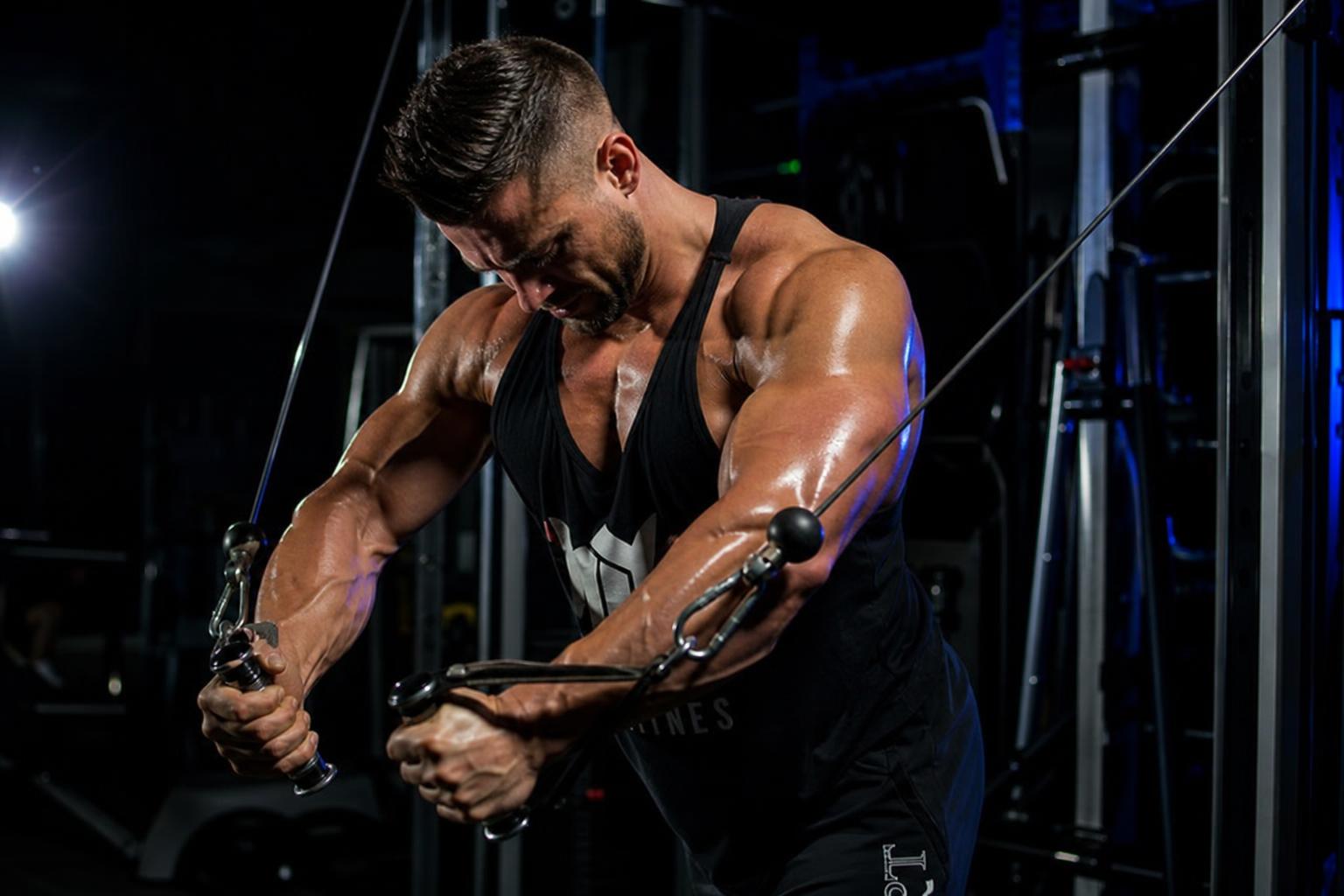 Free 2-Week Bodybuilding Sampler